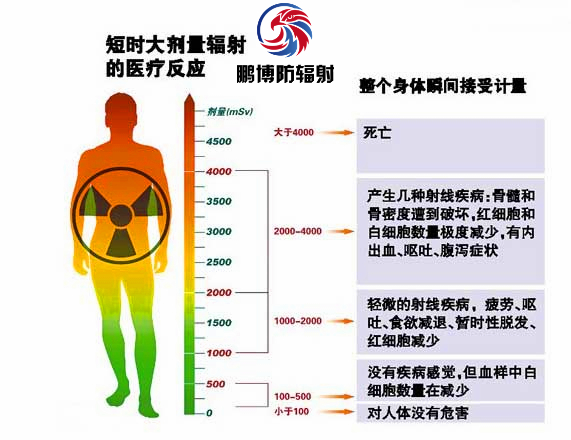 射线辐射对人体健康影响示意图